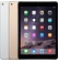 iPad Air 2 16GB